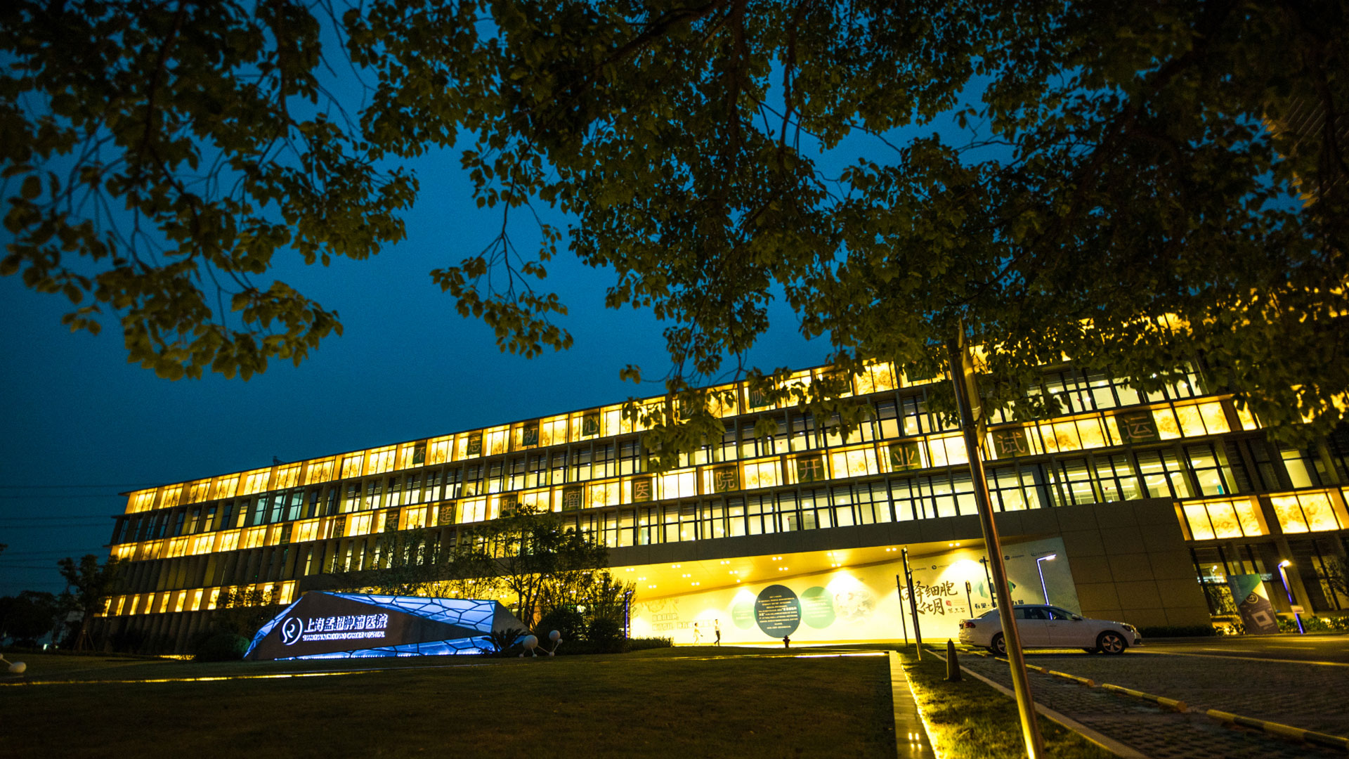 上海大學(xué)附屬孟超腫瘤醫(yī)院項(xiàng)目banner圖片