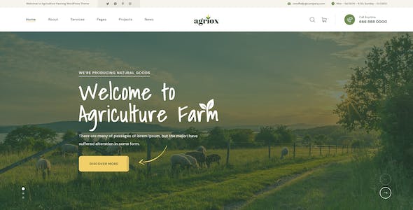 網(wǎng)站建設(shè)技巧：提升頁面加載速度